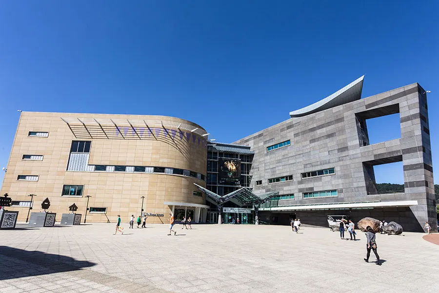 Te Papa Museum